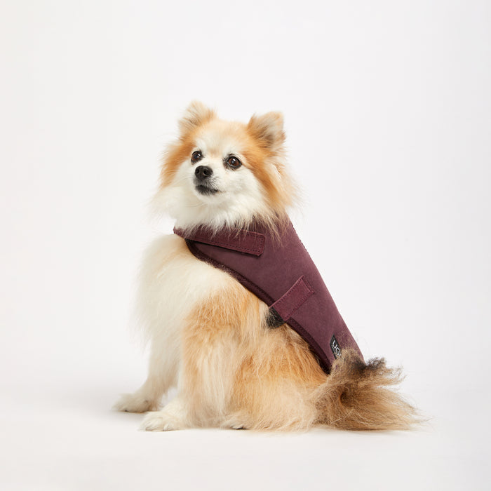 Sheepskin Dog Jacket