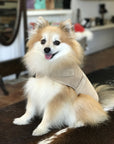 Sheepskin Dog Jacket